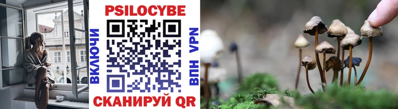 Псилоцибиновые грибы прущие грибы  Бабушкин 